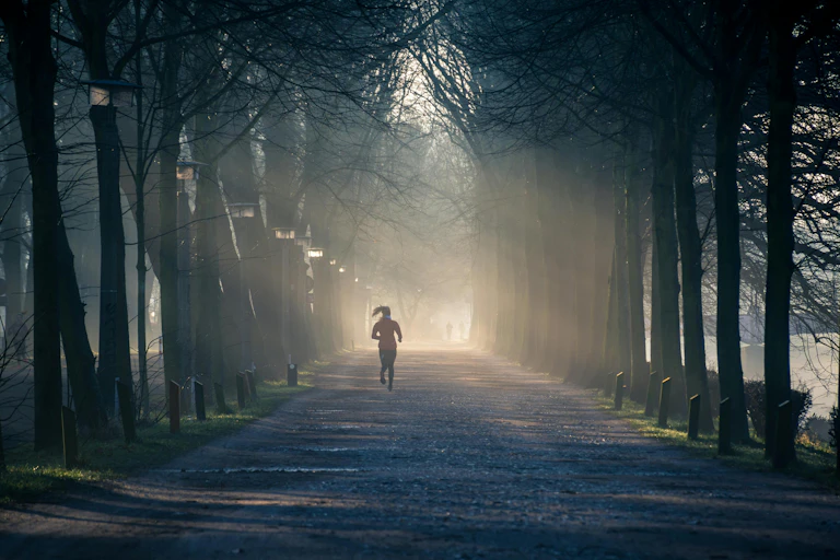 person runs down misty avenue of trees at dusk