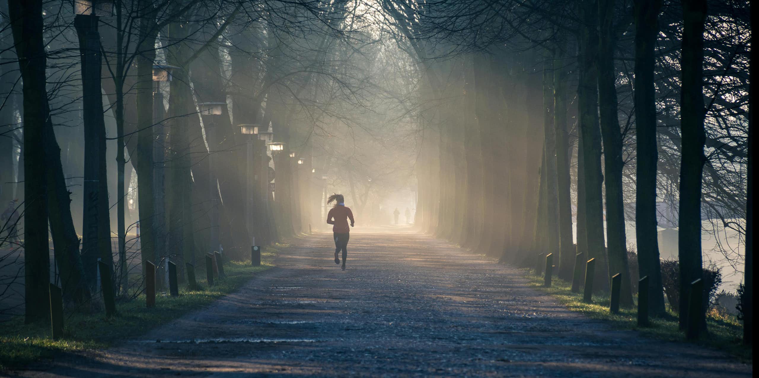 person runs down misty avenue of trees at dusk