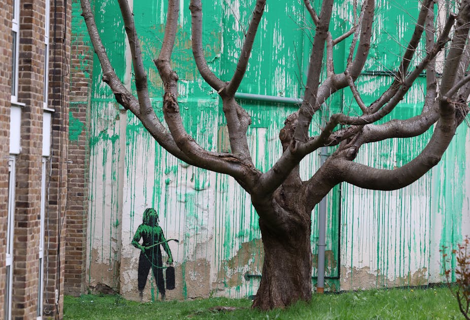 Spraypainted green wall behind a bare tree gives the illusion of leaves