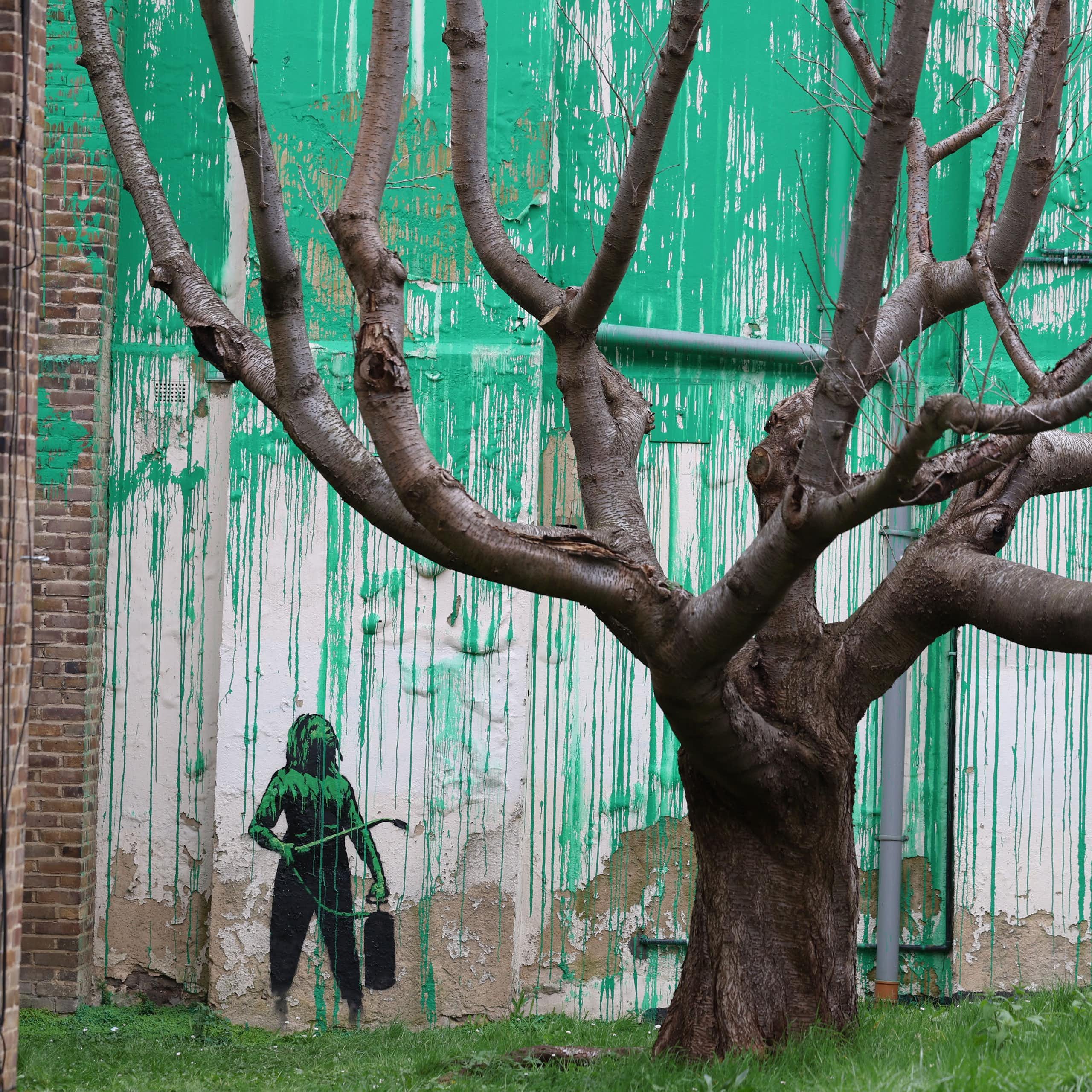 Spraypainted green wall behind a bare tree gives the illusion of leaves