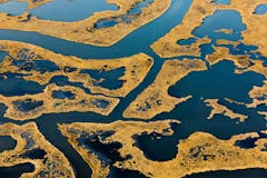 research topics related to wetlands