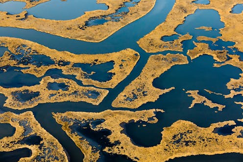 Coastal wetlands can’t keep pace with sea-level rise, and infrastructure is leaving them nowhere to go