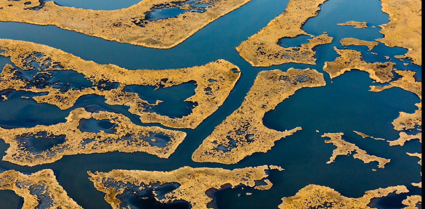 Coastal wetlands can’t keep pace with sea-level rise, and infrastructure is leaving them nowhere to goI have been studying coastal geology and...