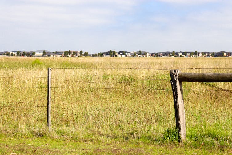 grassland and creeping suburbia