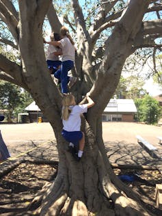 Girls climb a tree at school