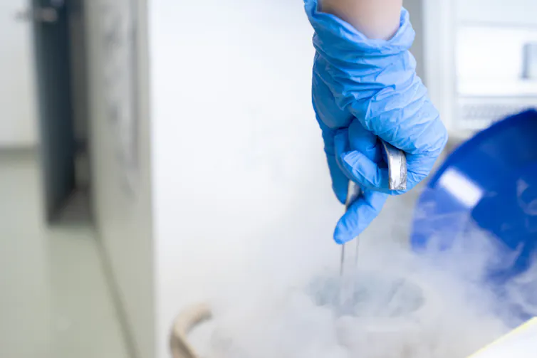 An egg donation lab.