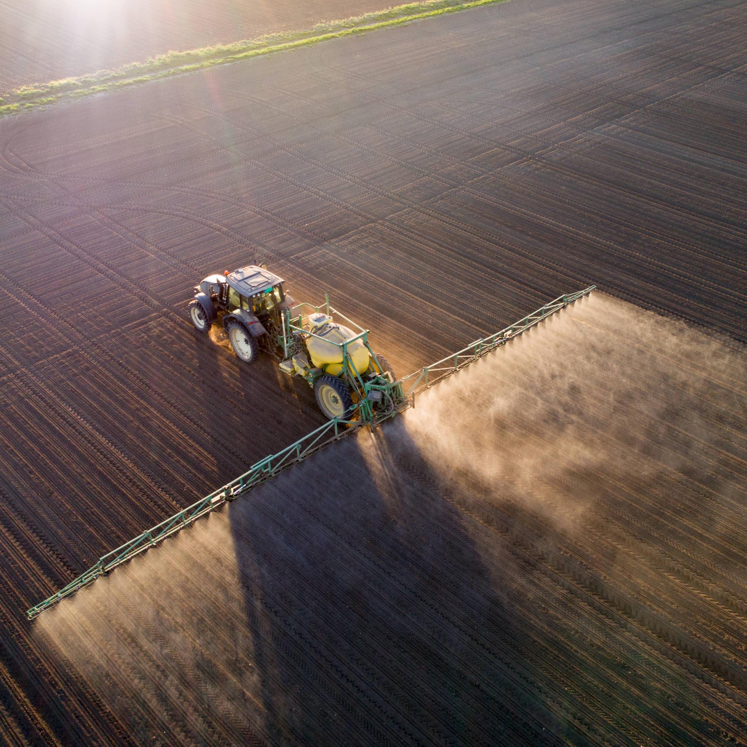 Menos fertilizantes y más legumbres: estrategias para reducir las emisiones de la agricultura y la ganadería