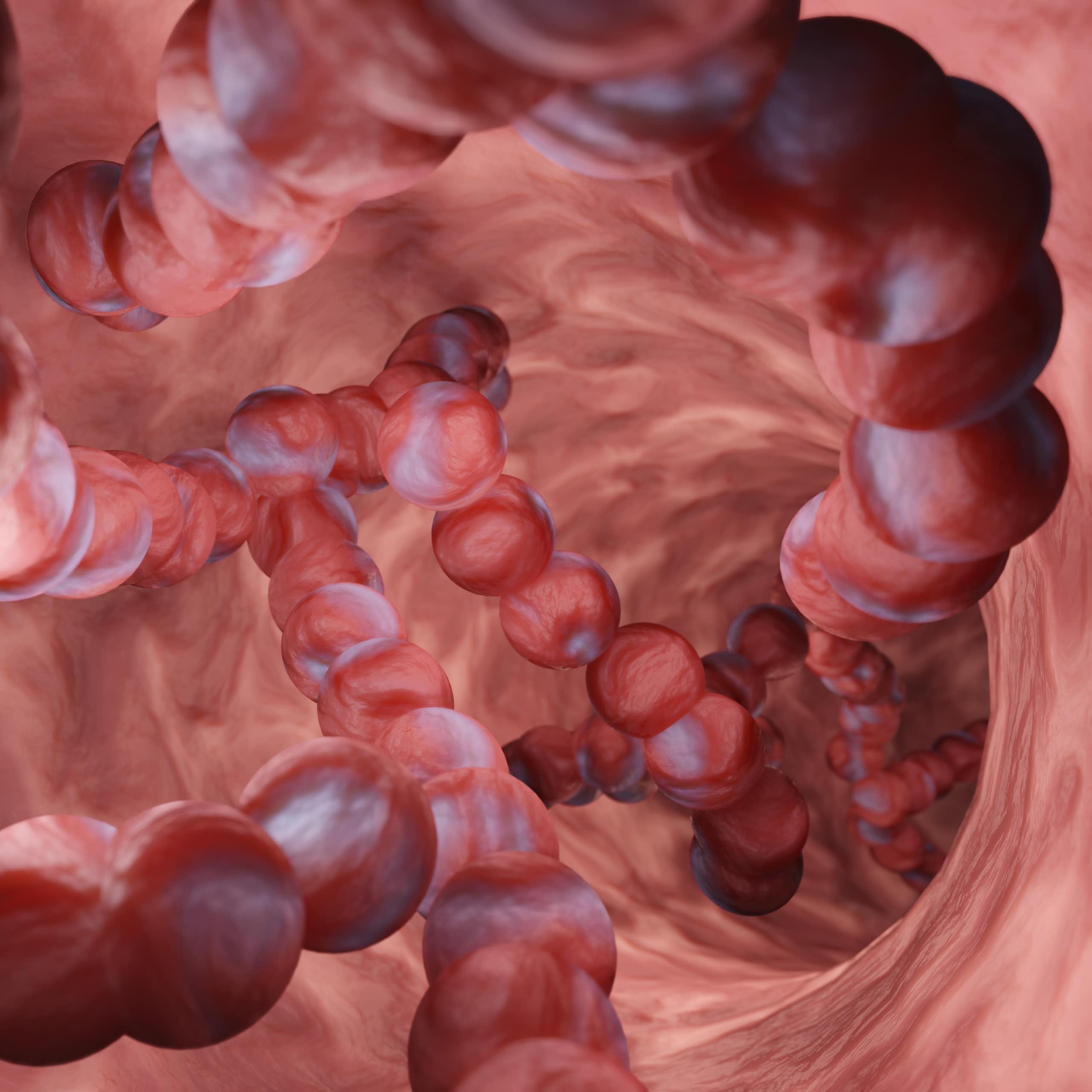 Strep A: cases of rare fatal infection hit record levels in Japan – here's what risk these bacteria pose to global health