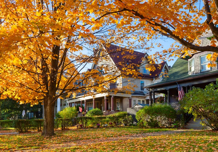 Two historic houses in autumn with their front yards covered in orange leaves.