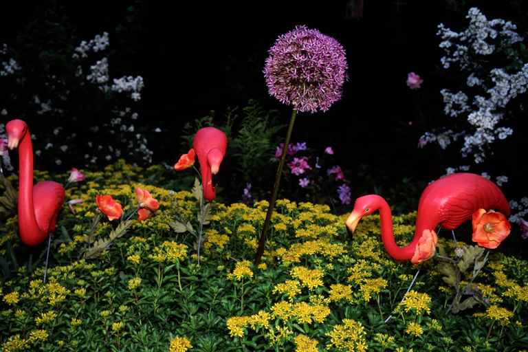 Three plastic pink flamingos placed in a garden of yellow and purple flowers.