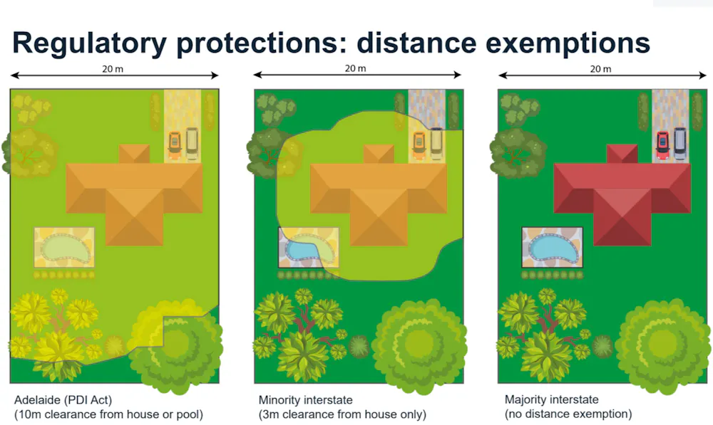 Adelaide is losing 75,000 trees a year. Tree-removal laws must be ...