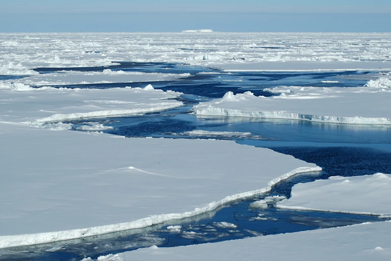 antarctic sea ice