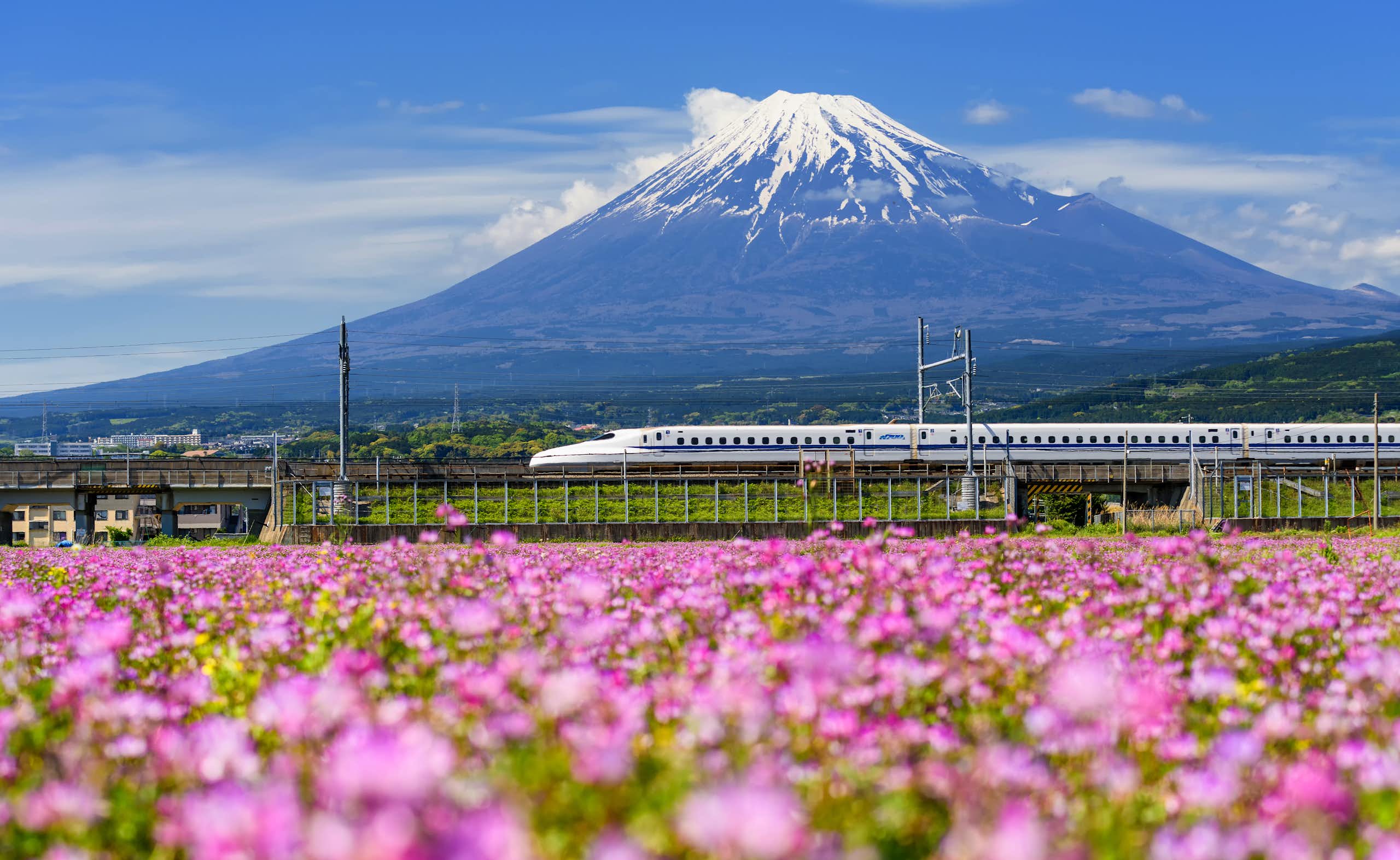 A Shinkansen bullet train running past Mount Fuji in Japan.
