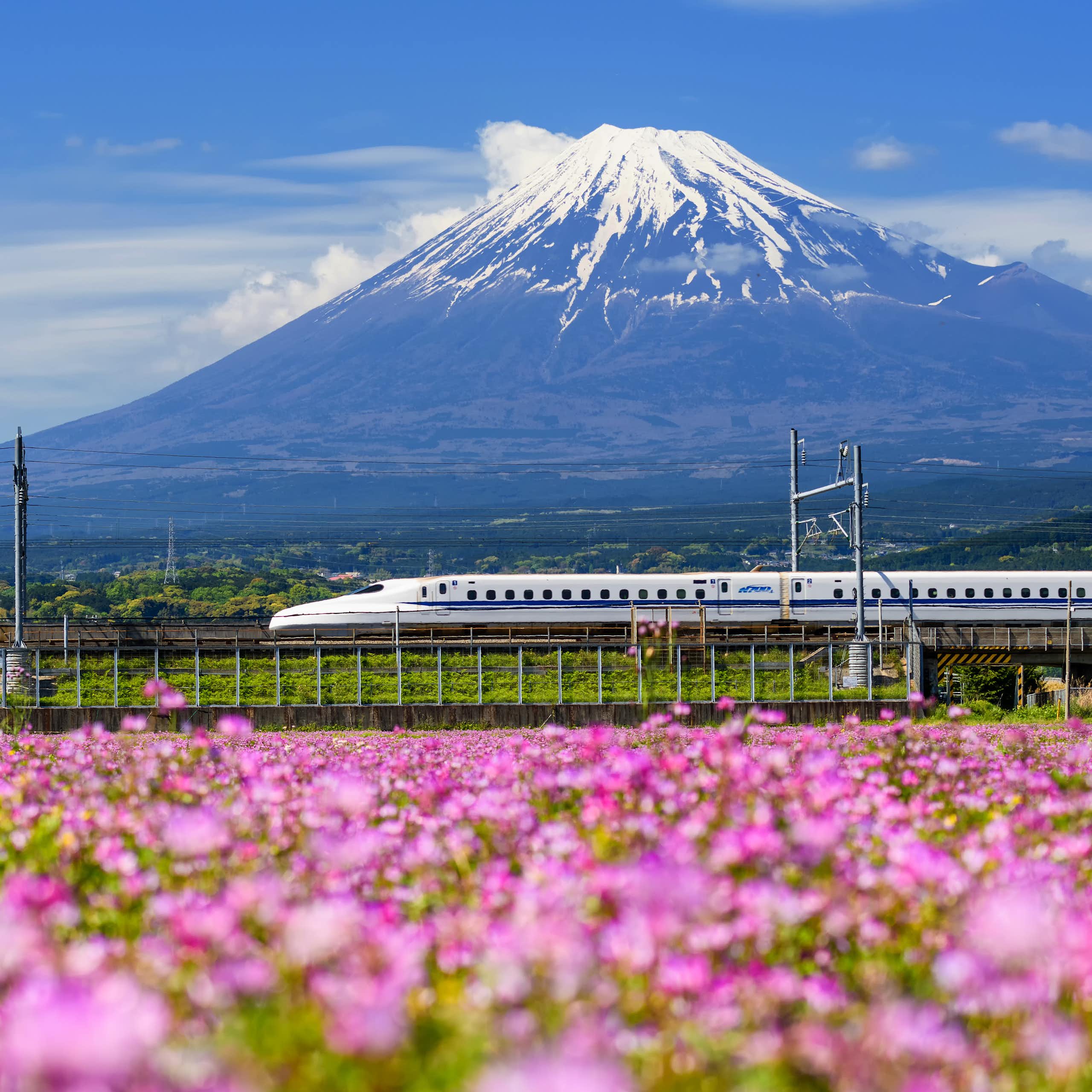 A Shinkansen bullet train running past Mount Fuji in Japan.