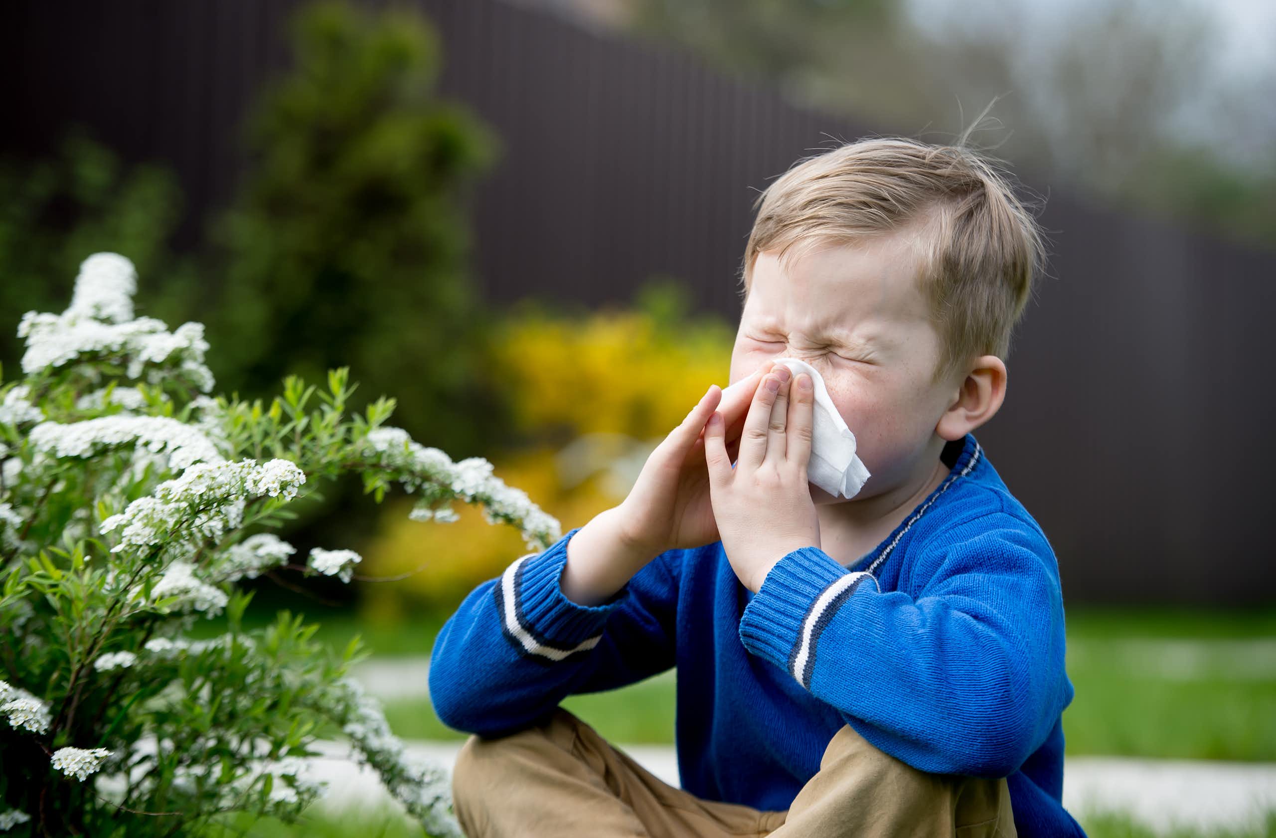 ¿Por qué aumentan tanto las alergias? Una clave puede estar en la microbiota