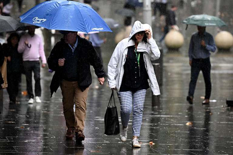 Two people walk through rain in Sydney wearing raincoats and holding umbrellas.