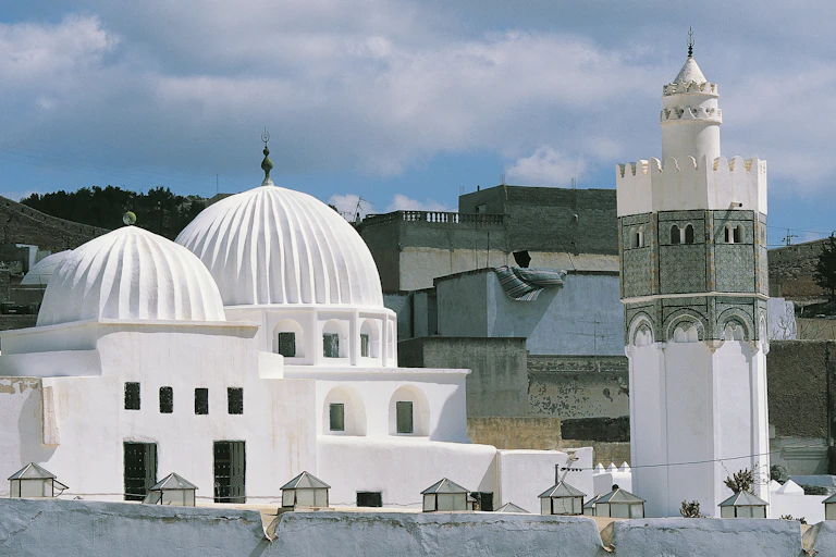A landscape view with at the spires of a mosque foregrounded above a great plain.