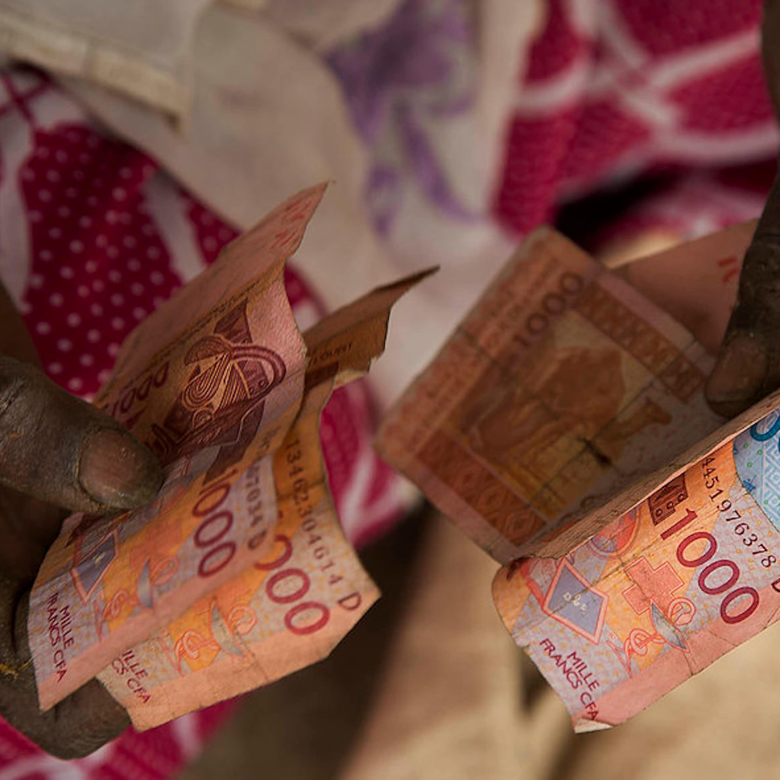 Une monnaie commune au Sahel : derrière la logique politique, un risque économique
