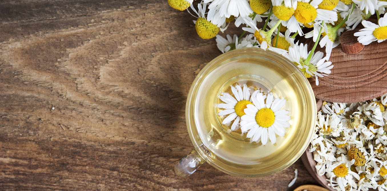 Es la manzanilla una panacea? La ciencia nos dice que sí
