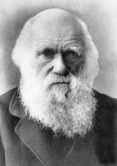 Black  and white image of a white bearded man.