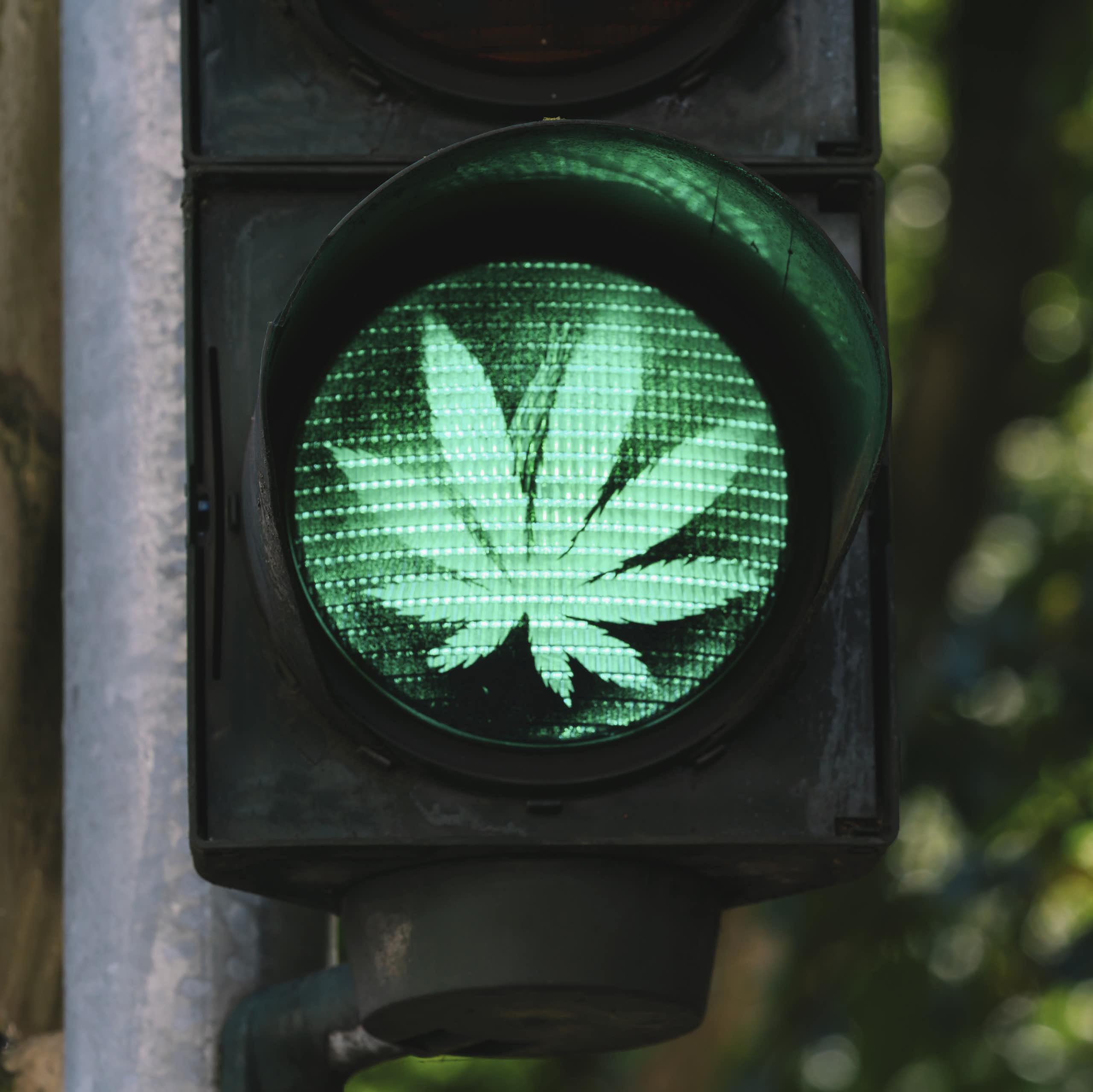 Germany decriminalised cannabis: why the UK should consider doing the same