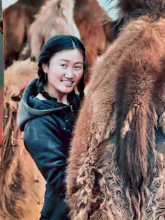 Woman stood between camels