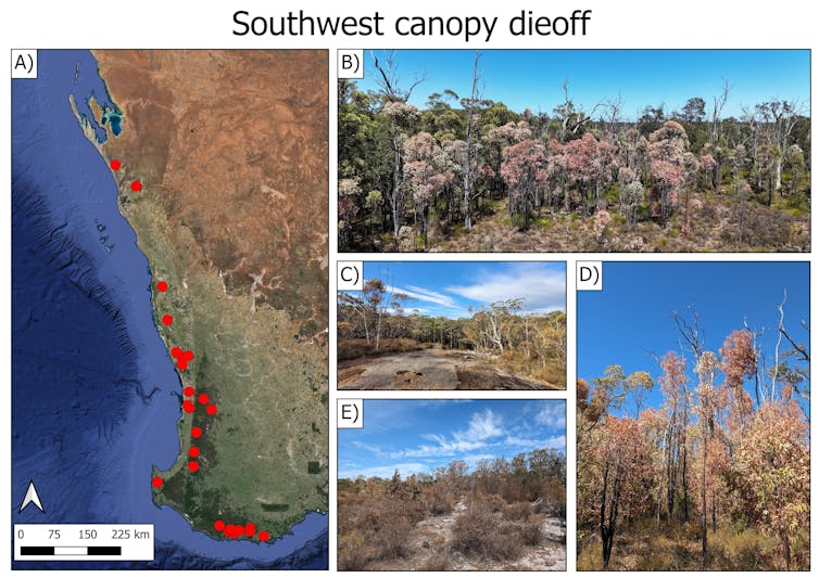 figures showing extent of plant die off in southwest WA