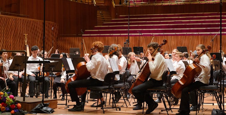 The orchestra