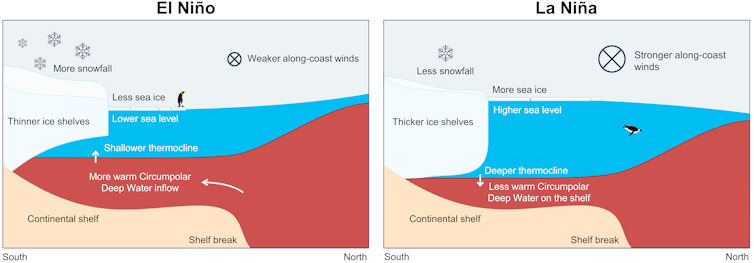 Heat from El Niño can warm oceans off West Antarctica – and melt floating ice shelves from below 1 figure showing difference between El Nino and La Nina in antarctica