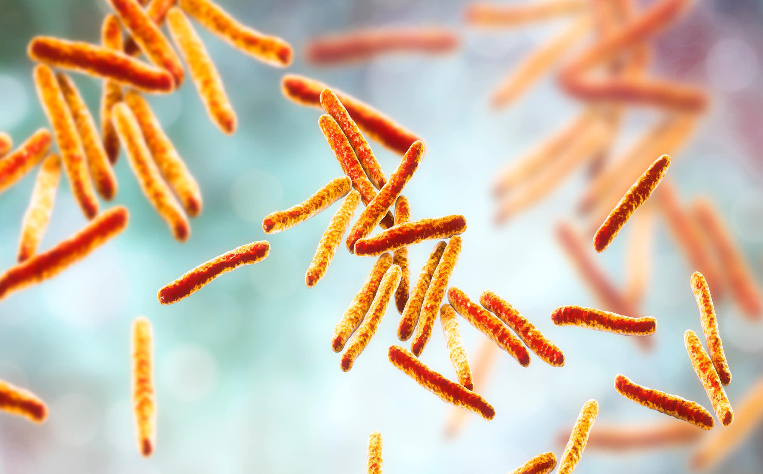 La bacteria de la tuberculosis “roba” la vitamina B12 a los humanos, y saberlo puede mejorar los tratamientos