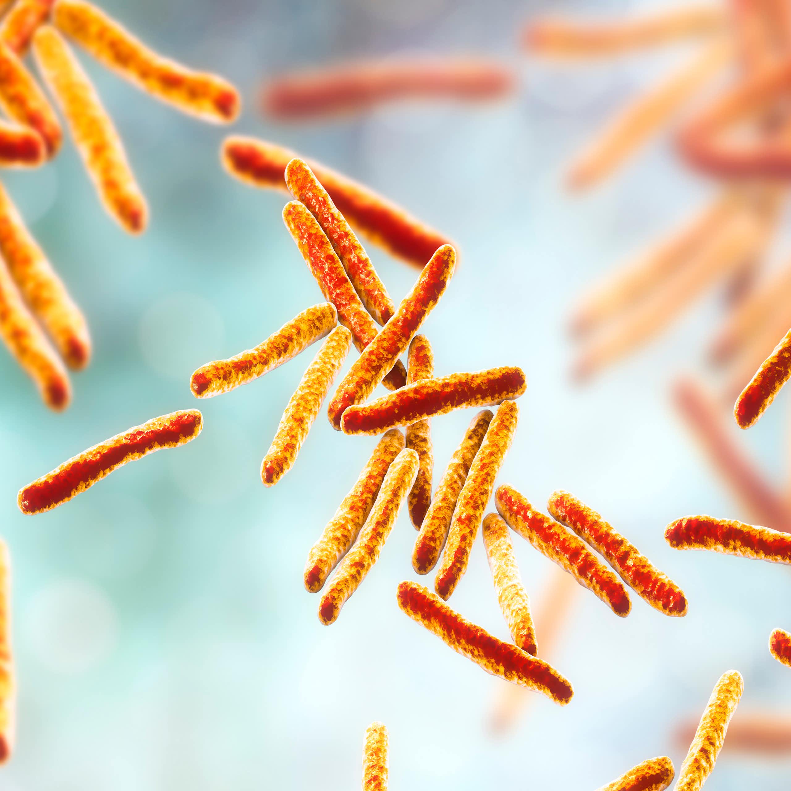 La bacteria de la tuberculosis “roba” la vitamina B12 a los humanos, y saberlo puede mejorar los tratamientos