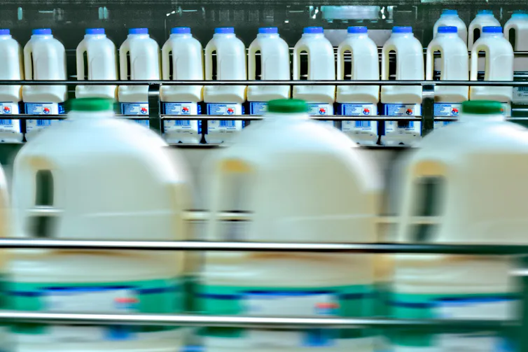 Rows of milk cartons in a milk processing plant.
