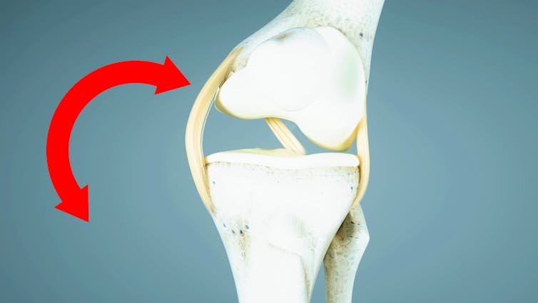 Un schéma montre les os du genou et une flèche rouge illustre le mouvement qui se produit.