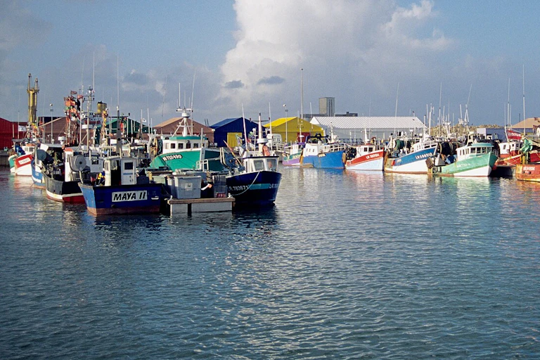 Des chalutiers dans le port de Chef de Baie (Charente-maritime)