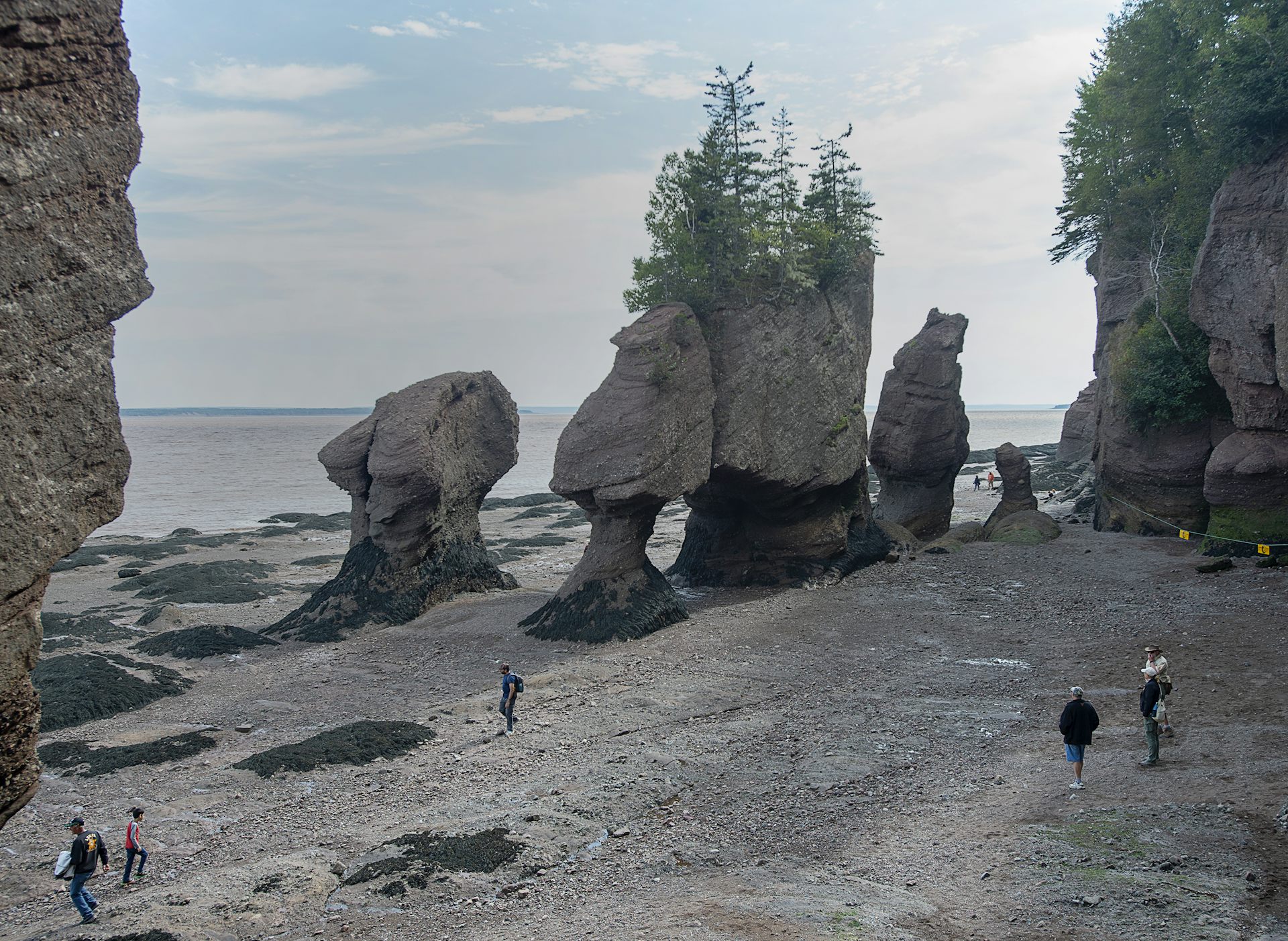People walk amongst tall rock formations by the coast.