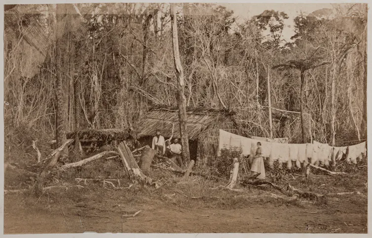 19th century photopraph of early settlers in the bush.