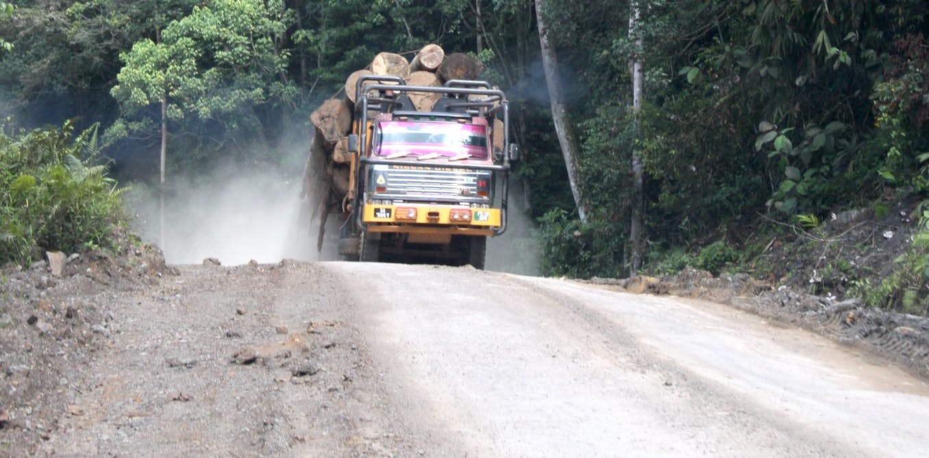 Illegal ‘Ghost Roads’ Discovered in Rainforest, Leading to Destruction – GretAi News