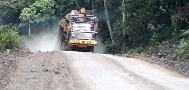 Truck laden with logs drives along forest road