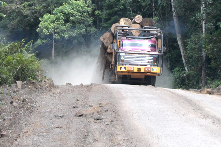 Truck laden with logs drives along forest road