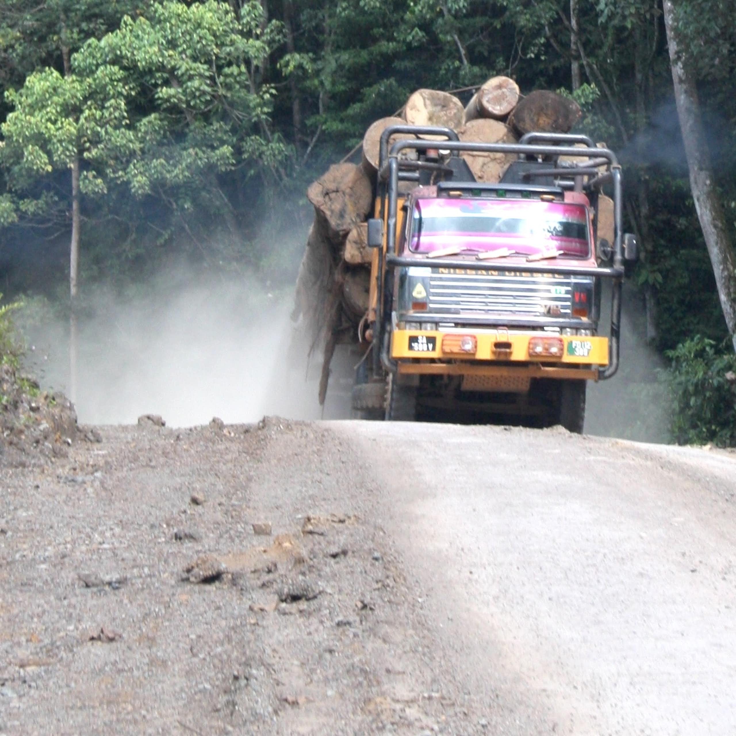 Truck laden with logs drives along forest road