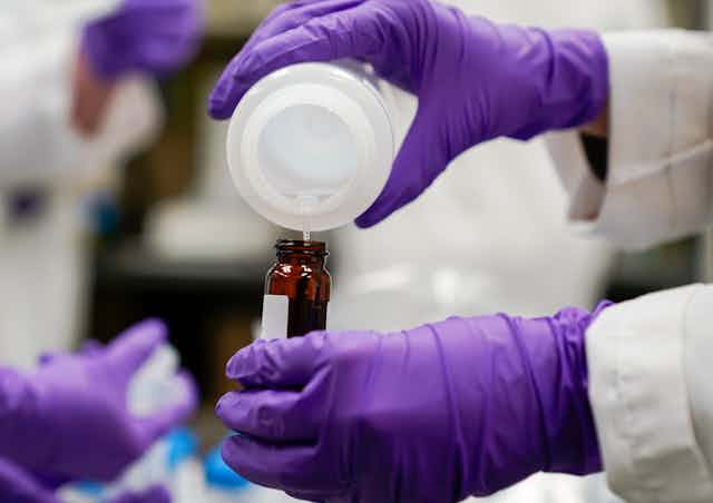 Hands in purple gloves pour a water sample into a bottle for testing.