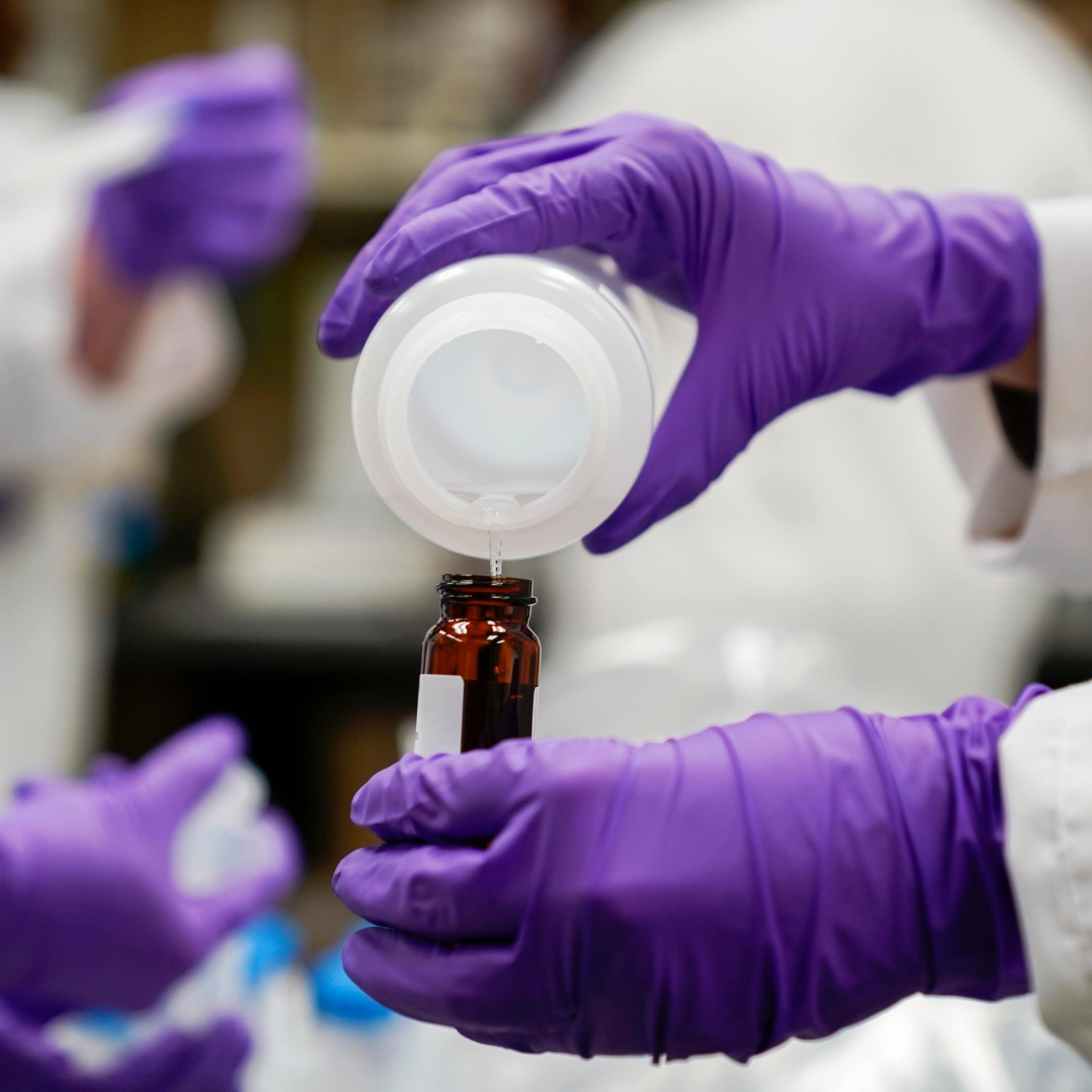 Hands in purple gloves pour a water sample into a bottle for testing.