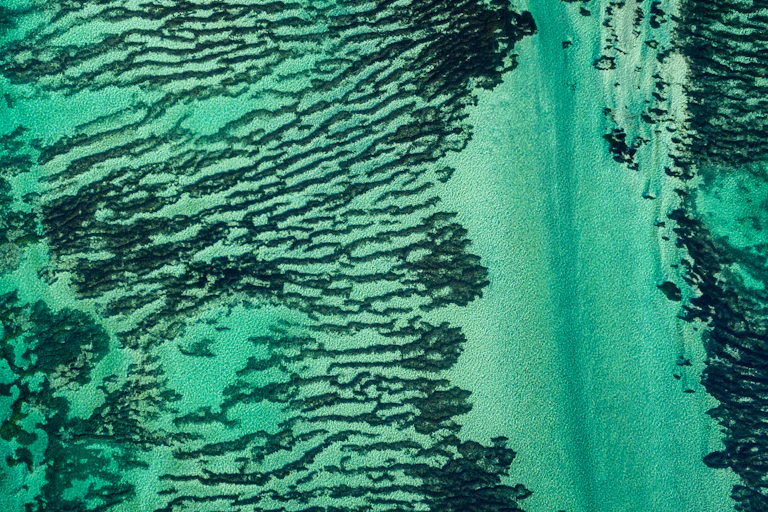 aerial shot of green blue water, dark patches of seagrass meadow striated across sea floor