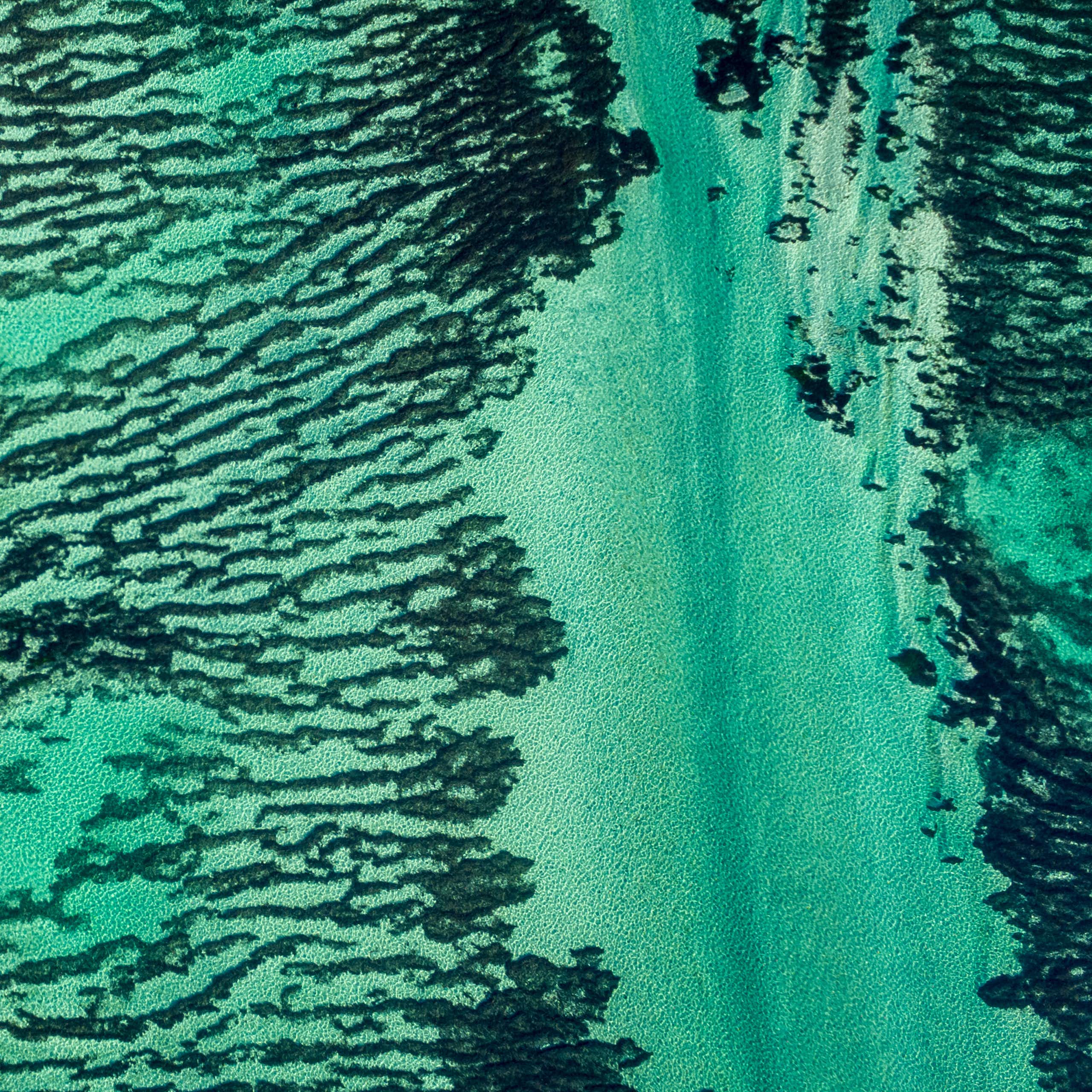 aerial shot of green blue water, dark patches of seagrass meadow striated across sea floor