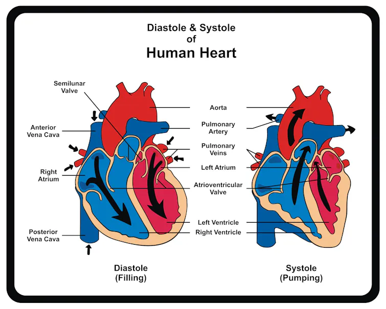 Health Check What Do My Blood Pressure Numbers Mean
