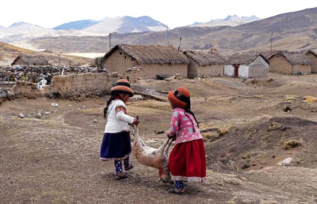 Two girls carry a sheep in front of some buildings.