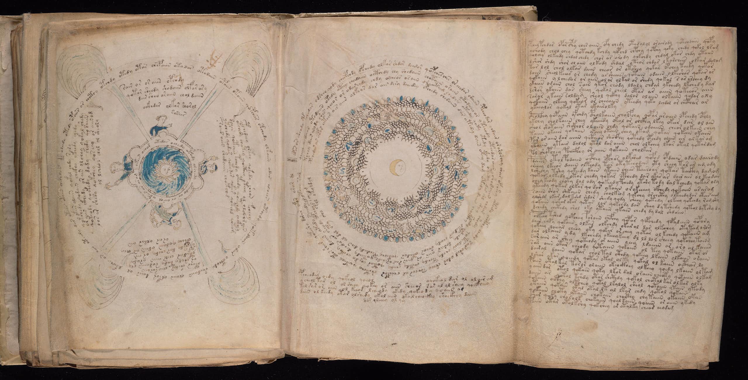 Pages from the Voynich manuscript