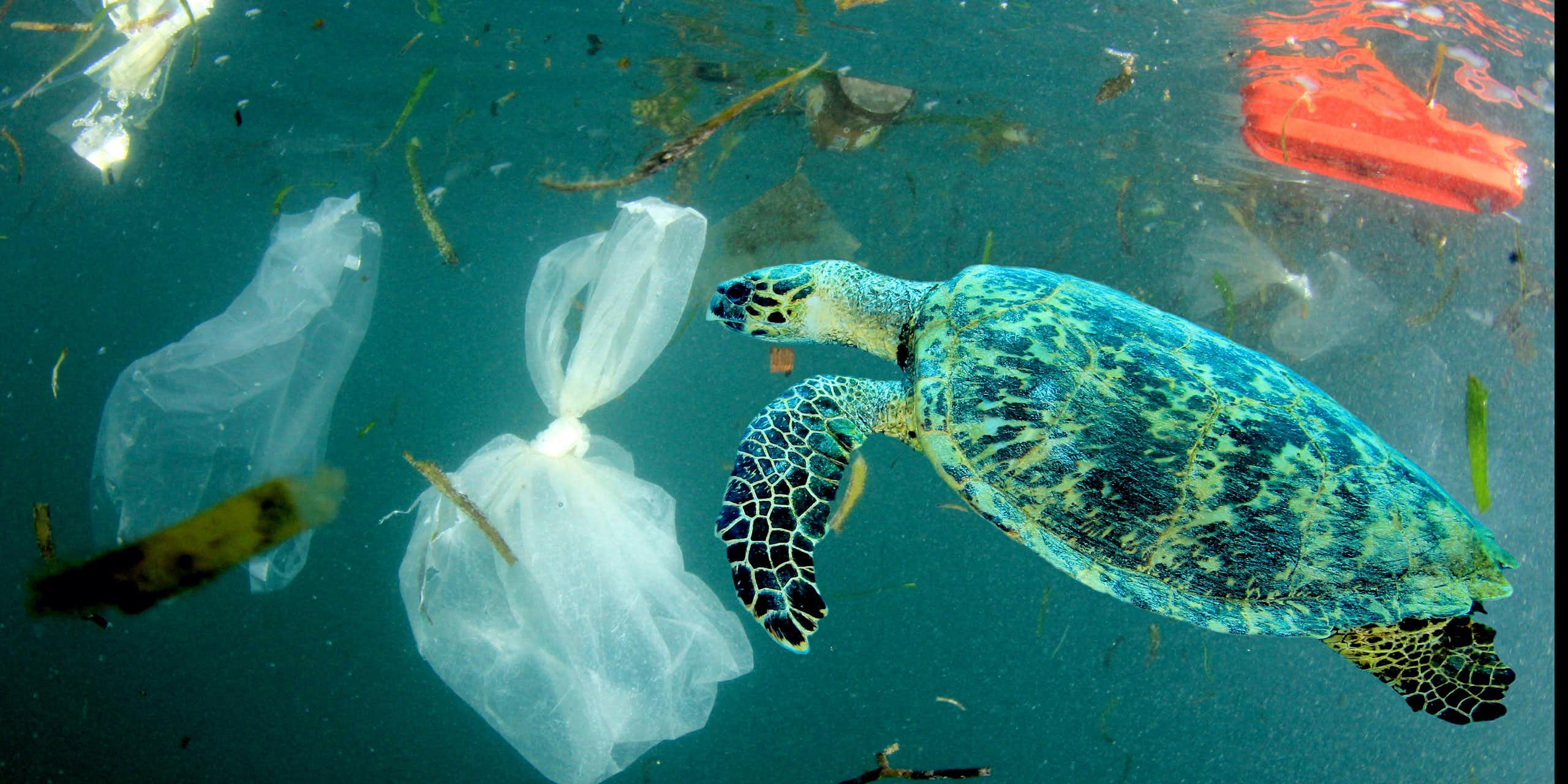 ¿Es posible un mundo sin plásticos?