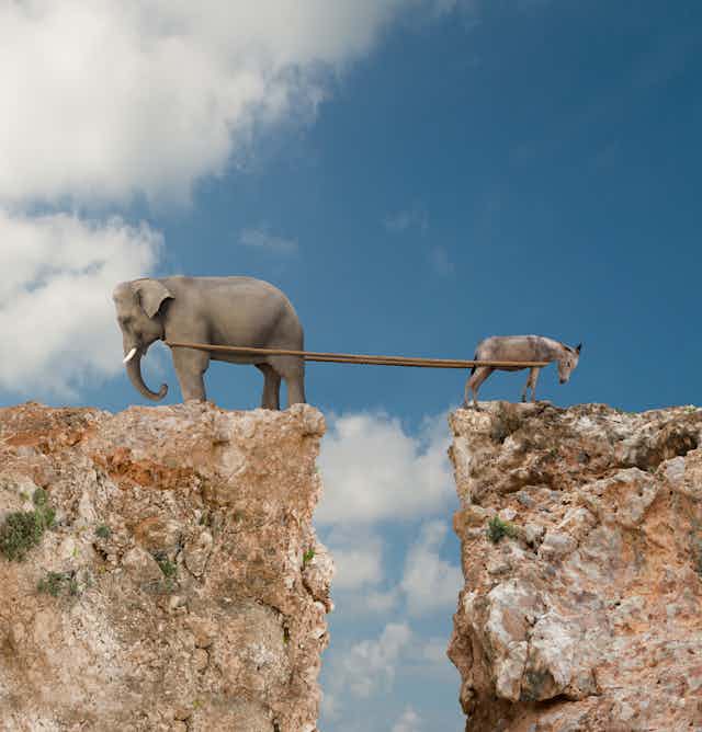 In a photo illustration, an elephant and donkey are seen playing tug-of-war over a canyon.