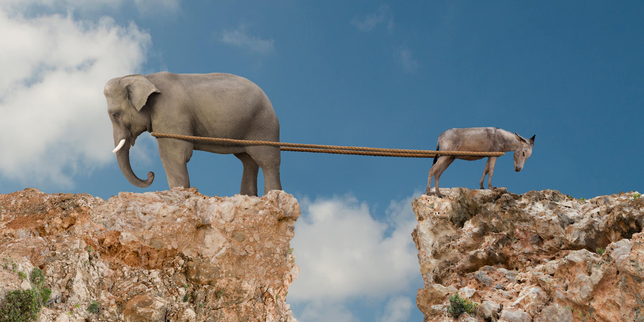 In a photo illustration, an elephant and donkey are seen playing tug-of-war over a canyon.